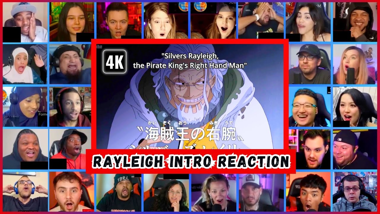 🔥🔥30+ Reactors RAYLEIGH ENTRY MEGA Reaction Mashup - One Piece Episode 394 Mega Reaction Mashup