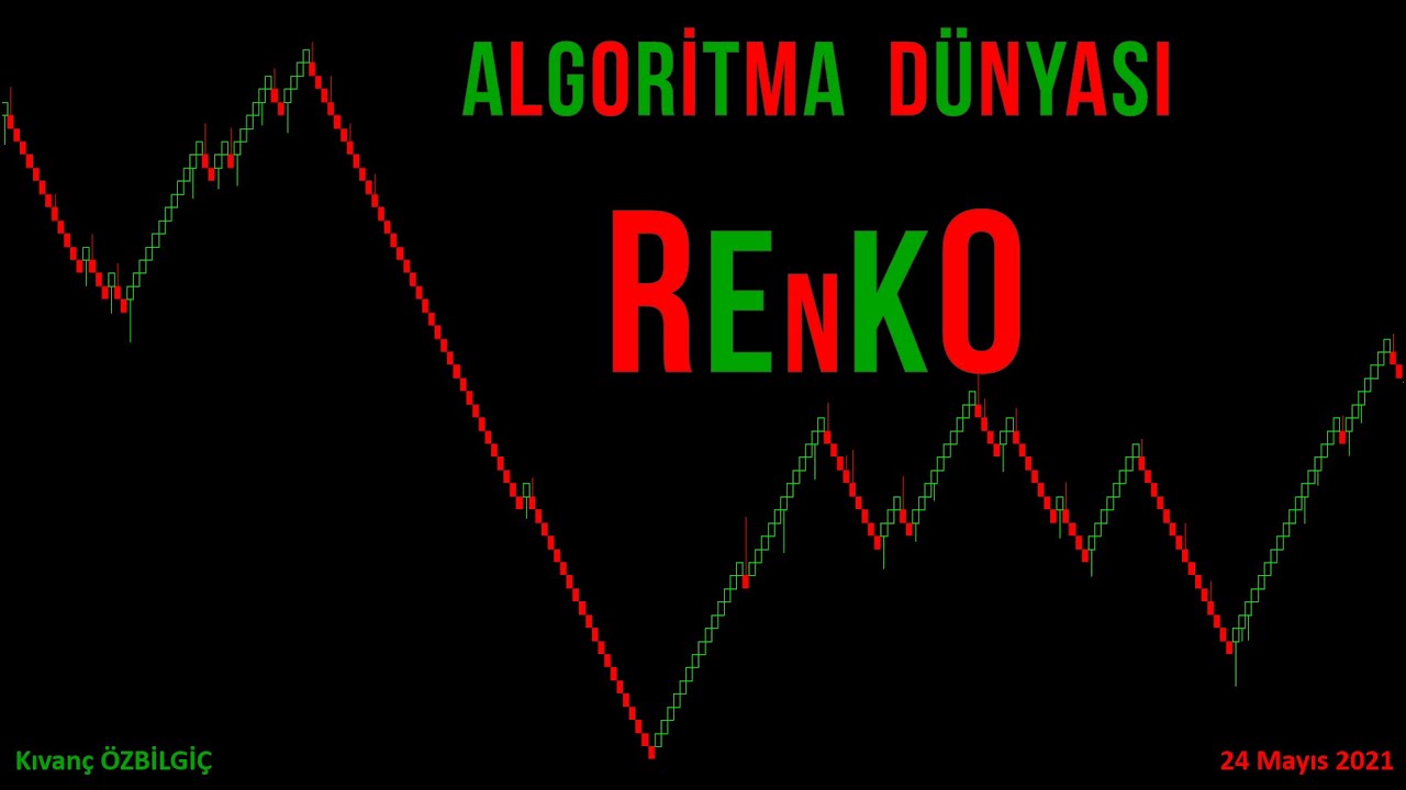 ALGORİTMA DÜNYASI -30- RENKO