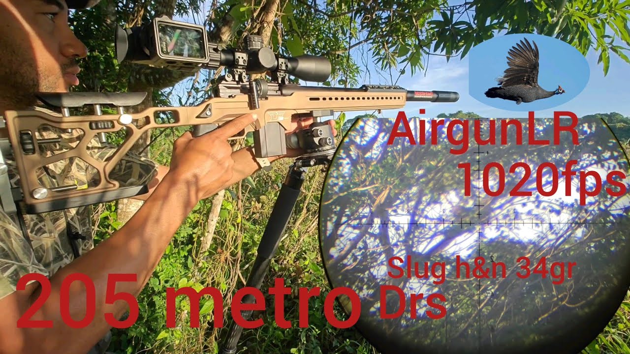 FX DRS PRO 700MM .22 34GR 1020FPS