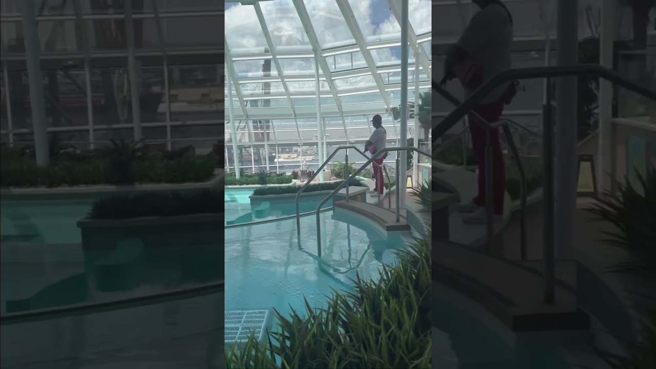 Hanging out at the #adultsonly #pool at #solarium #letstravelbysokie #cruise #royalcaribbean #travel