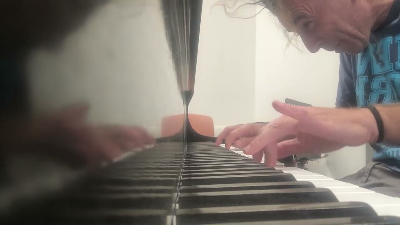 Maqam  Bach Indian Arabic 1/4 tone accessories sliders Ronen Shapira on a Blüthner Grand piano 