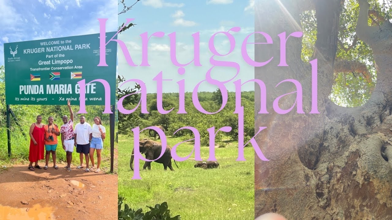 Kruger National Park : Family Edition 🦁