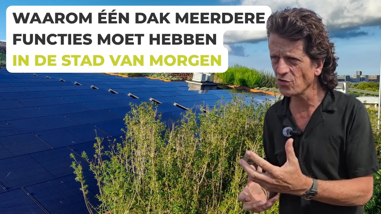 Meervoudig dakgebruik uitgelegd: groen dak, waterberging én zonnepanelen