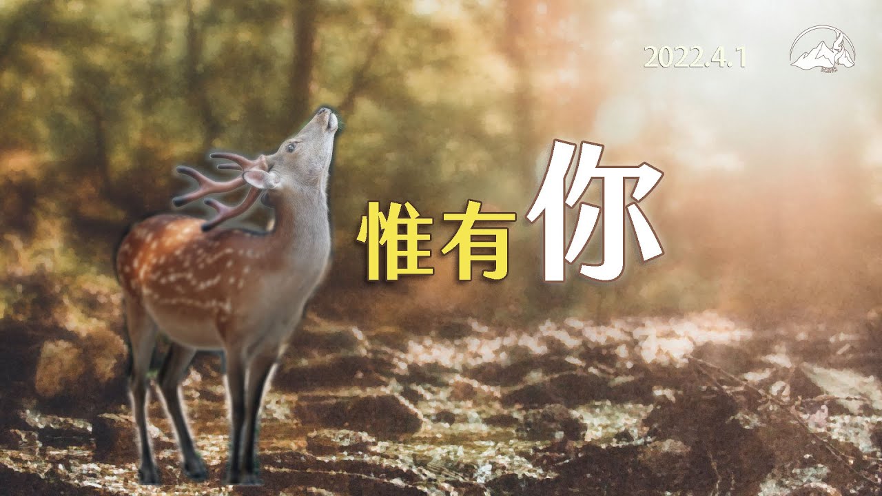 【 惟有你 】看見主的榮美音樂專輯｜磐石敬拜團 ｜2022.4.1