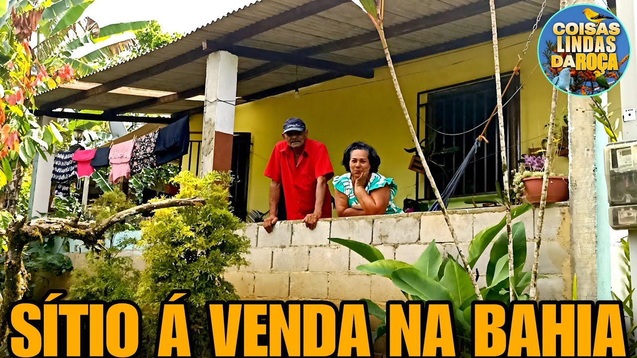 SÍTIO BARATO VENDENDO NA BAHIA - LINDO SÍTIO COMPLETO/ ÁGUA/ENERGIA/CACAU E OUTRAS COISAS MAIS 