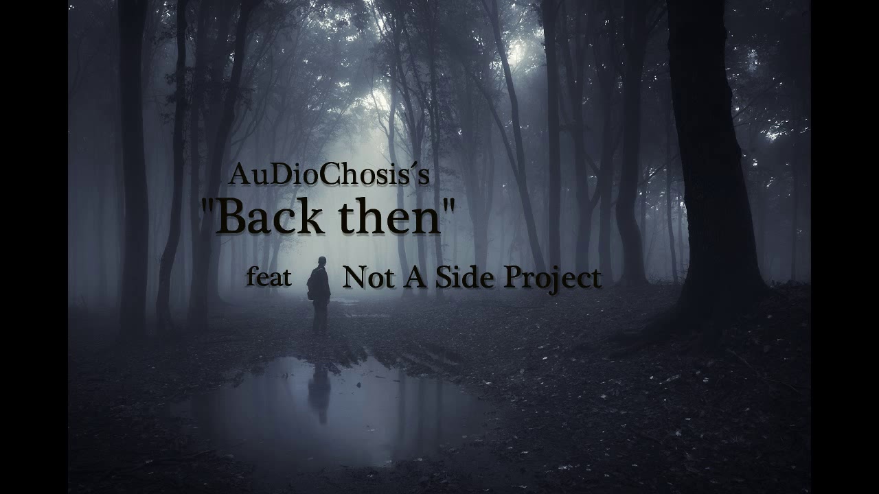 N.A.S.P. (Not a SideProject) - AuDioChosis´s 