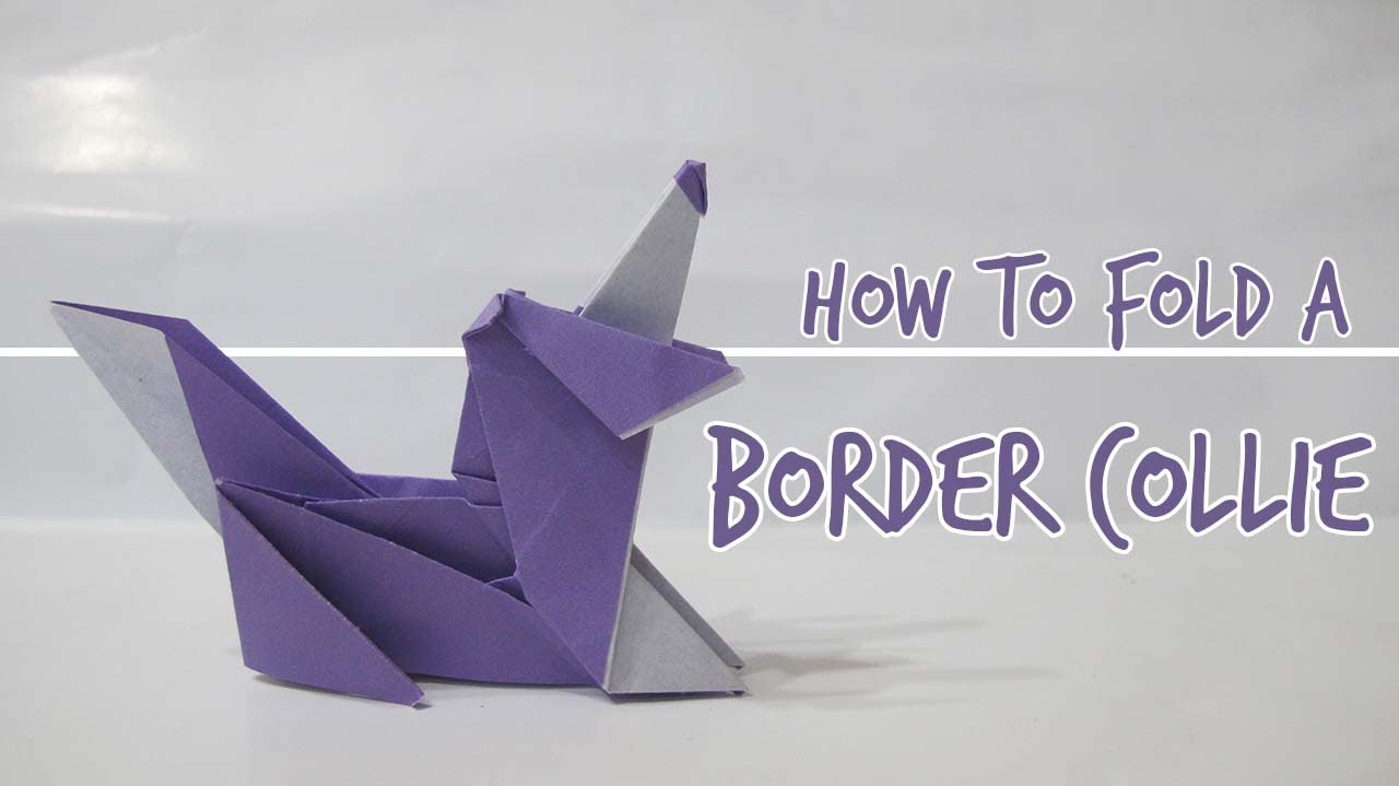 How to fold a Dog - Border Collie (Fuchimoto Muneji)
