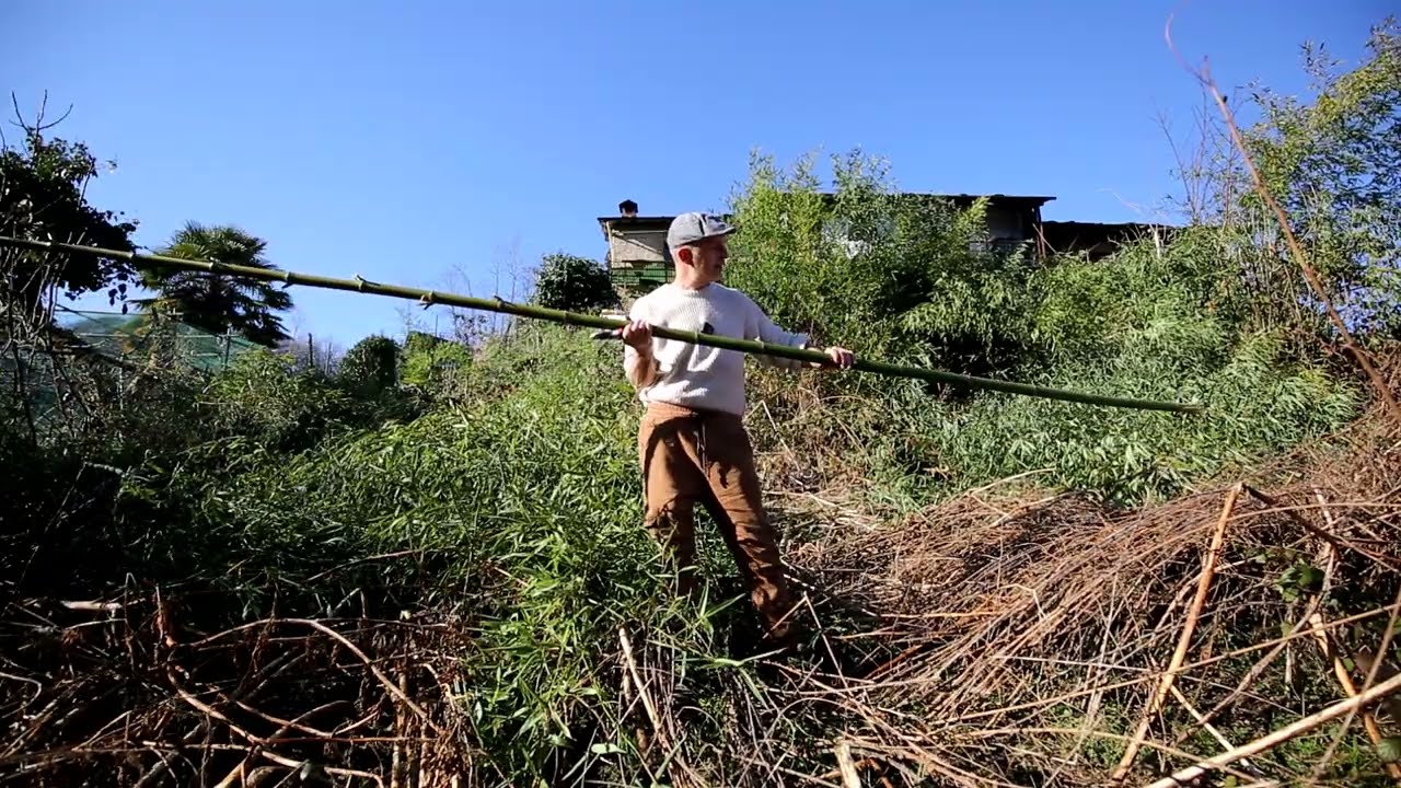 Video 196 - Bambù, utilizzo in Giardino