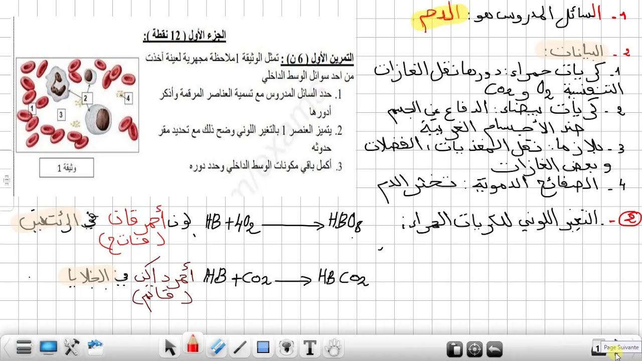 اختبار الفصل الأول علوم طبيعية السنة الرابعة متوسط