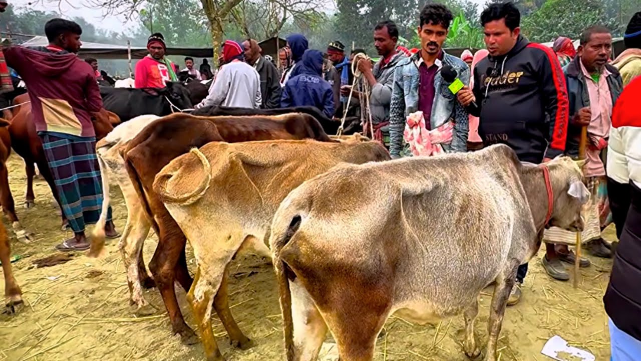 @আজ ১৯/০১/২৬