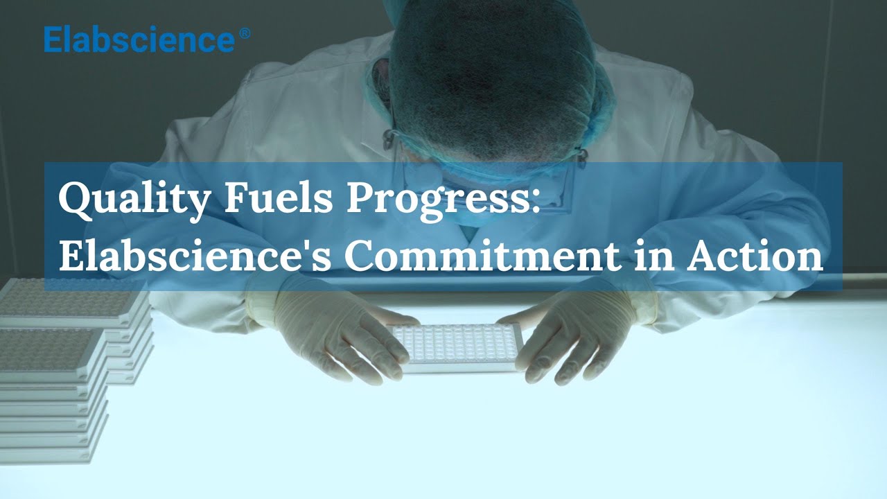 From Lab to Results: How Elabscience Ensures Top-Tier Research Quality