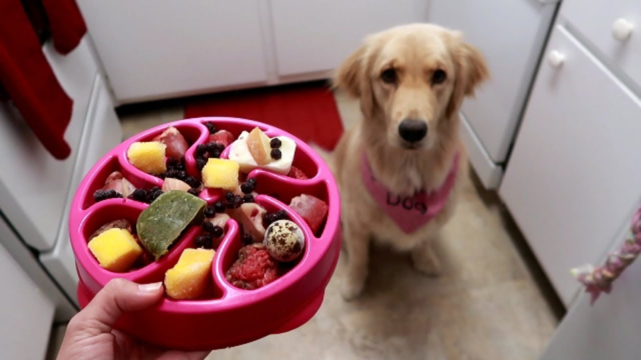 The Hardest Part About My Service Dog’s Raw Diet 😫 (7/28/17)