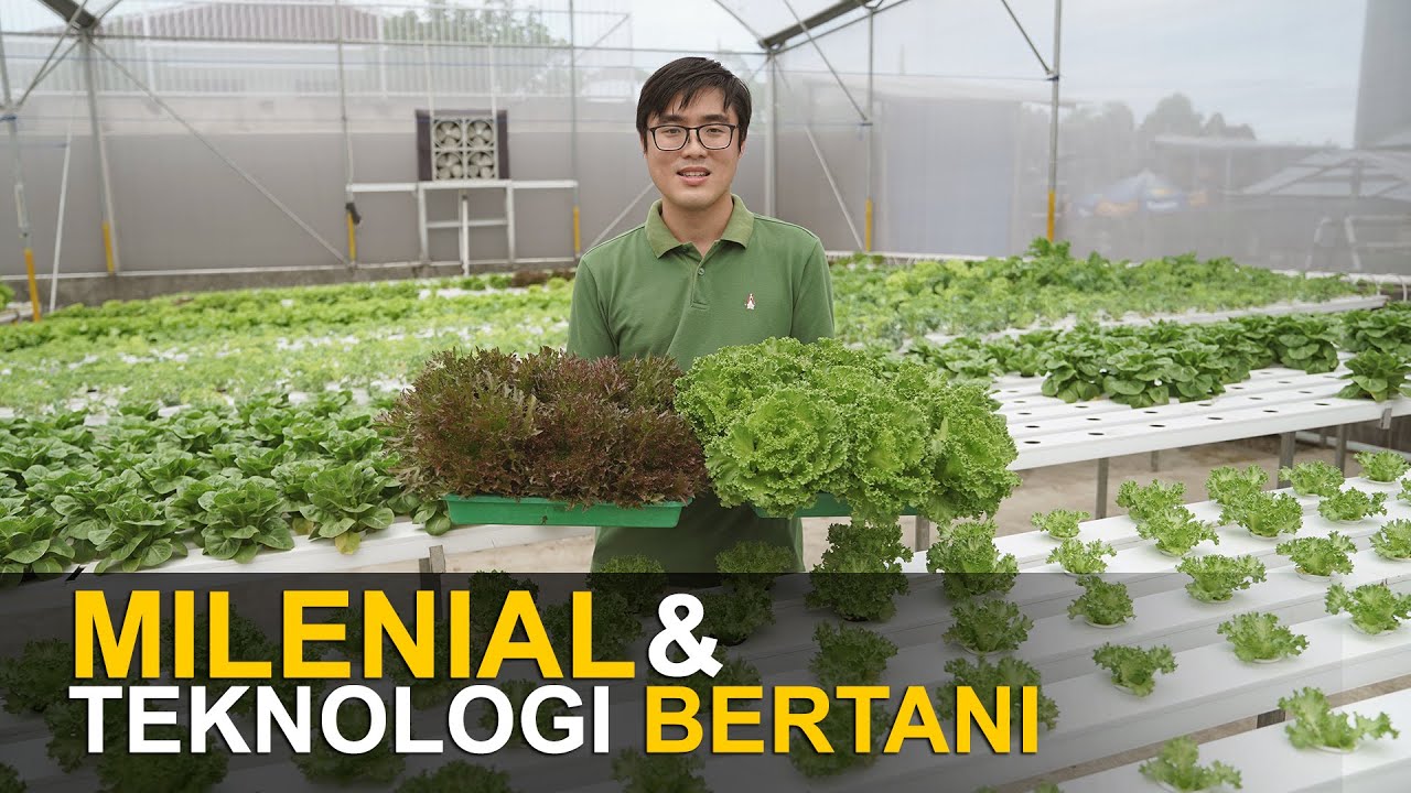 Milenial & Teknologi Bertani