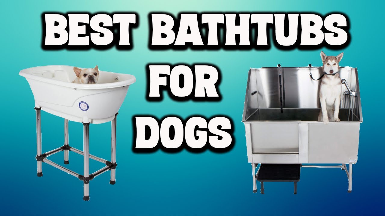 Best Bathtubs for Dogs