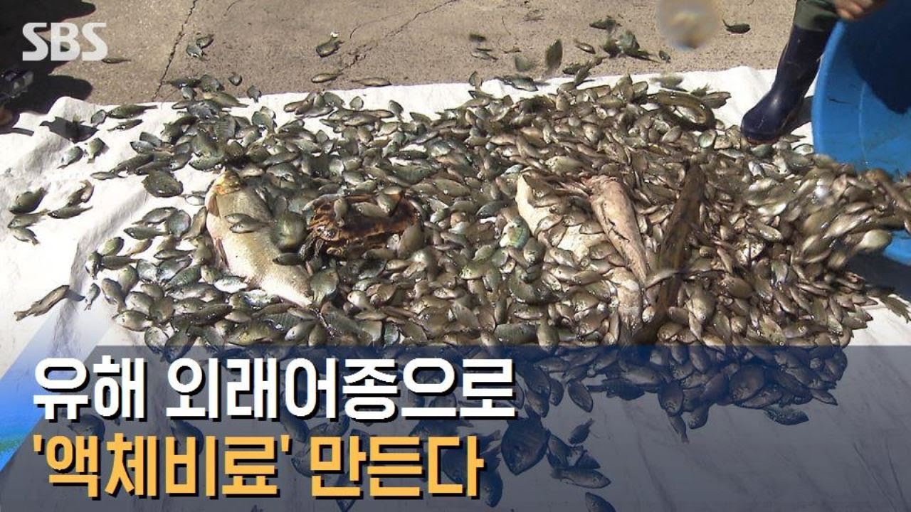 외래어종을 유기농 액체 비료로&hellip;