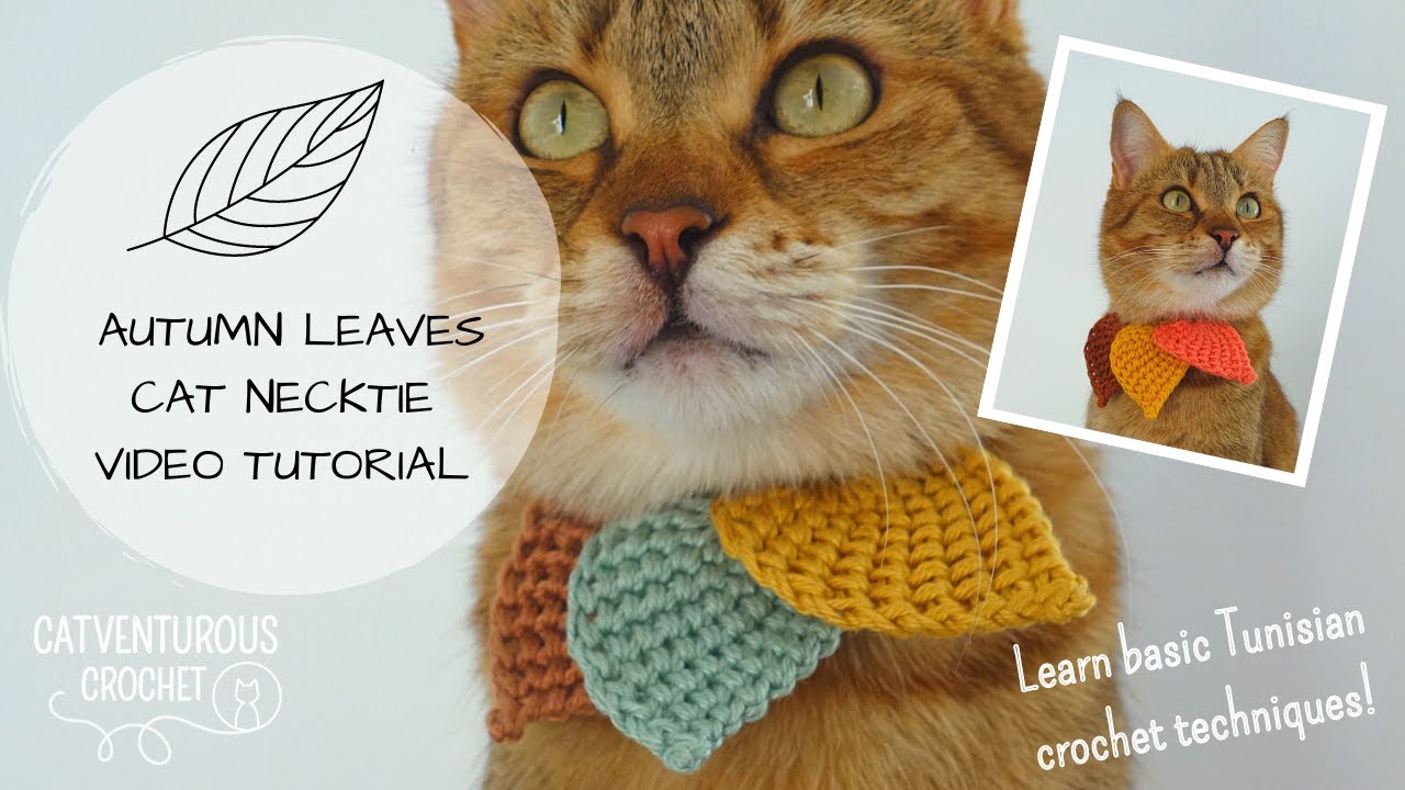 Autumn Leaves Cat Necktie (featuring Tunisian crochet techniques) - Catventurous Crochet
