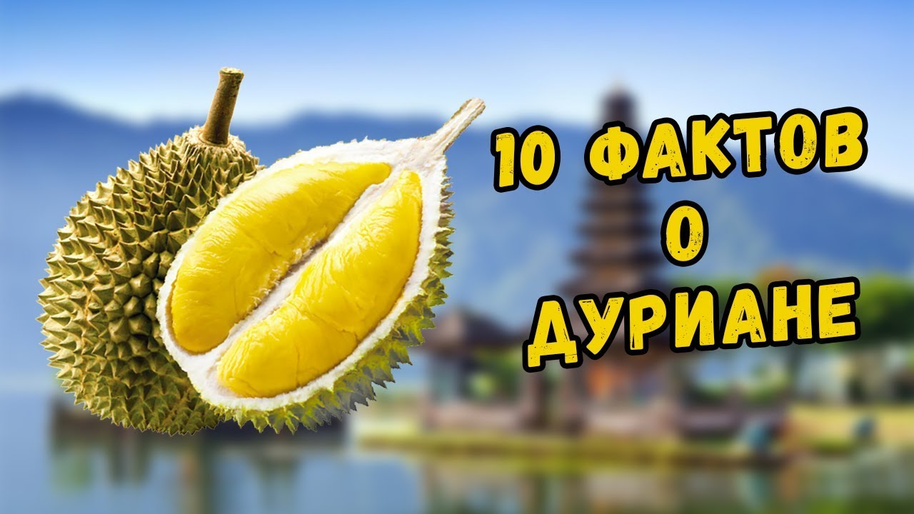 10 Фактов о Дуриане, о которых вы не знали!