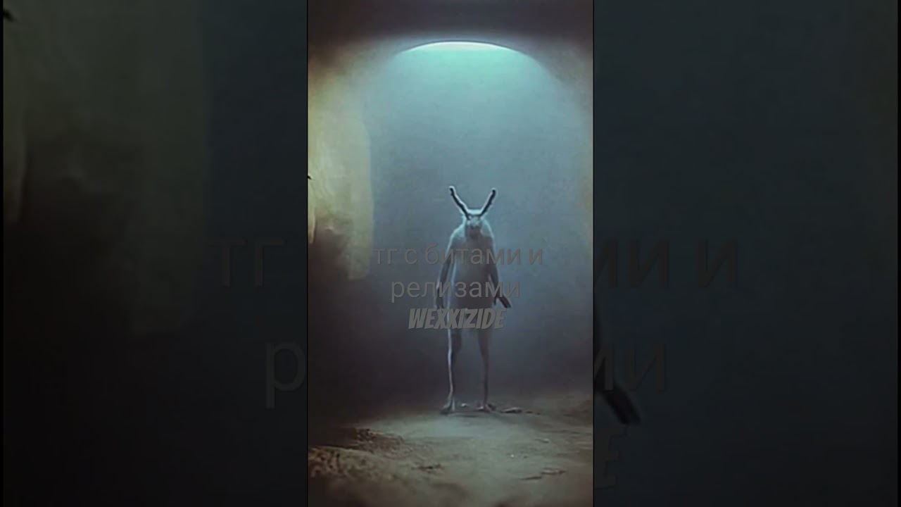 там за границей видимого спектра😶‍🌫️ 