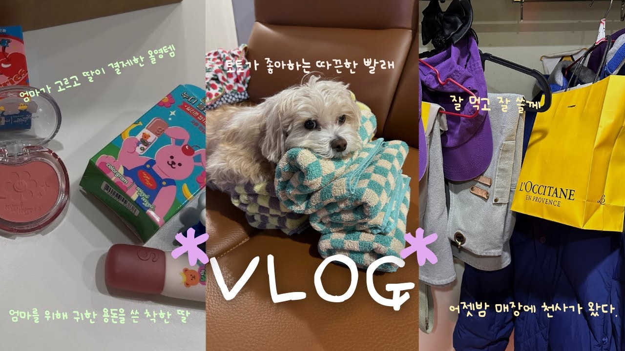 (VLOG)🪽우리 매장에는 천사가 다니고 있다•은새야 고마워🧡•착한딸이 사주는 올영템 언박싱 영상•장난감 때문에 화난 토토•일상기록•카페브이로그•반려견토토이야기•