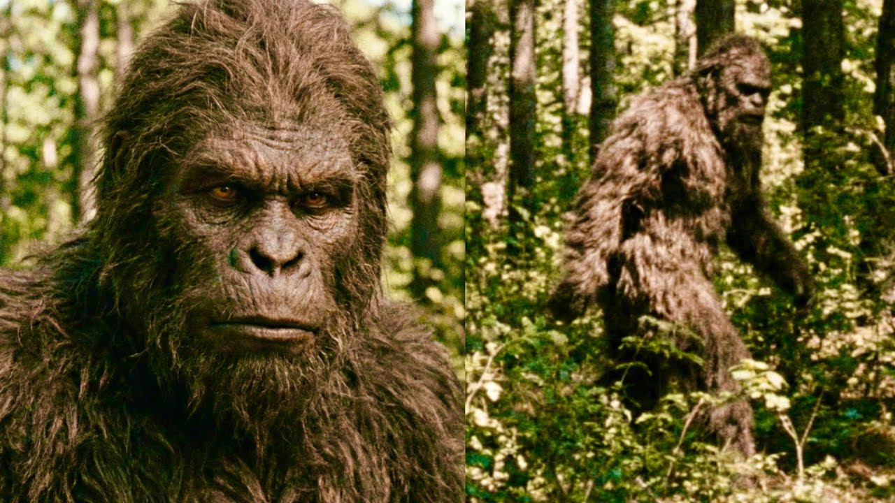 The New Clearest Bigfoot Footage was Just Released! 