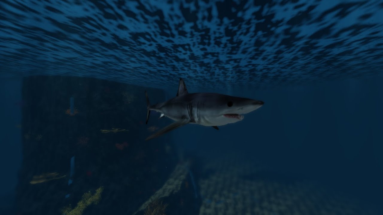 Shortfin Mako Shark Gameplay In Oceanic  -  Roblox