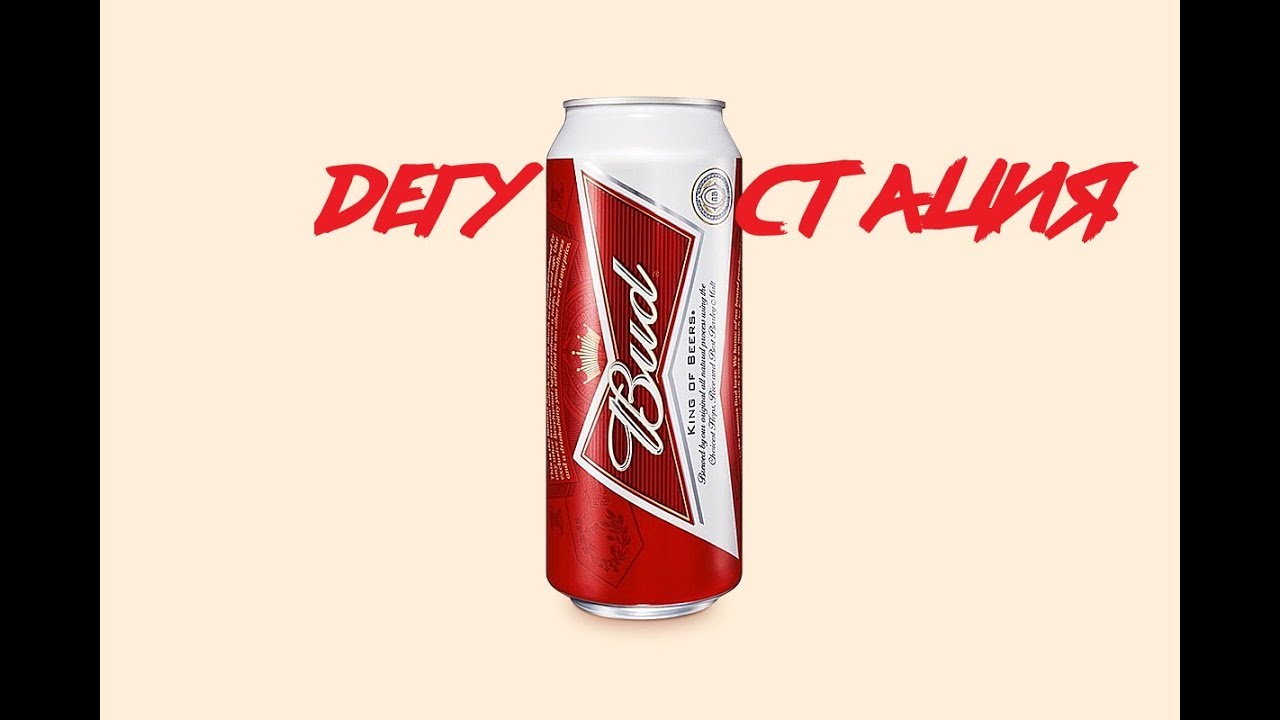 ДЕГУСТАЦИЯ ПИВА BUD!!!ИЛИ КАК СБРОДИТЬ ЛАГЕР ДОМА!!!