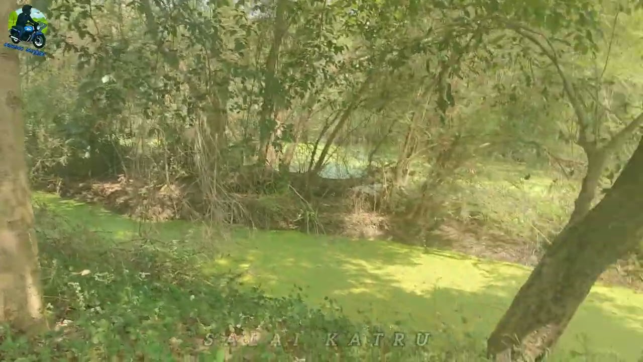 Udayamarthandapuram (Nachikulam) Bird Sanctuary | First Time Visit | Salai Katru