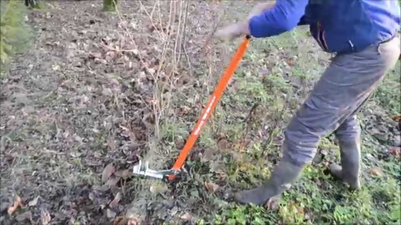 Terrateck - Arrache arbuste et petits arbres
