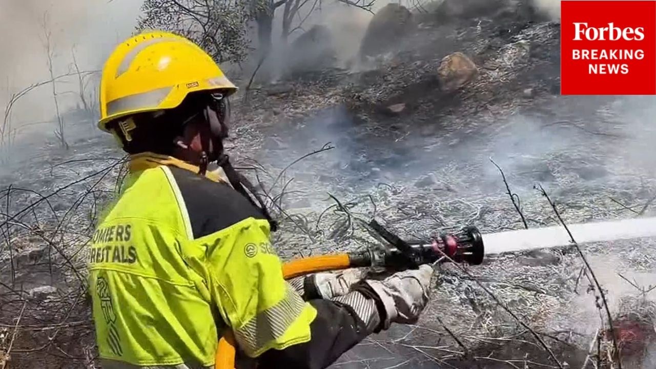 WATCH: Firefighters Battle Massive Blazes In Spain