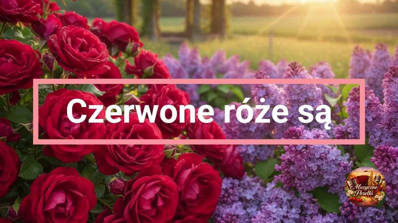 Czerwone róże są - taneczna perełka!