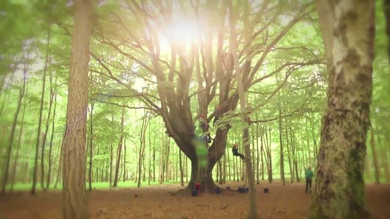 The Bushcraft Company | School Trips to The Woods