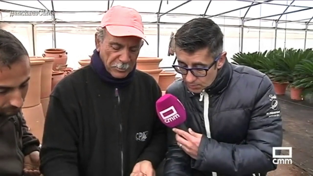 Nos vamos a plantar pistachos a los viveros La Peñuela