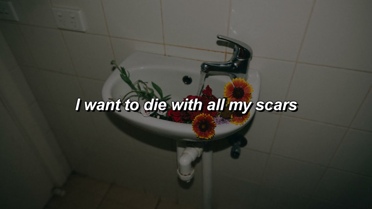 pigeon pit - night like these (lyrics)