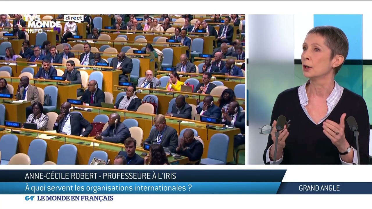 À quoi servent les organisations internationales ?