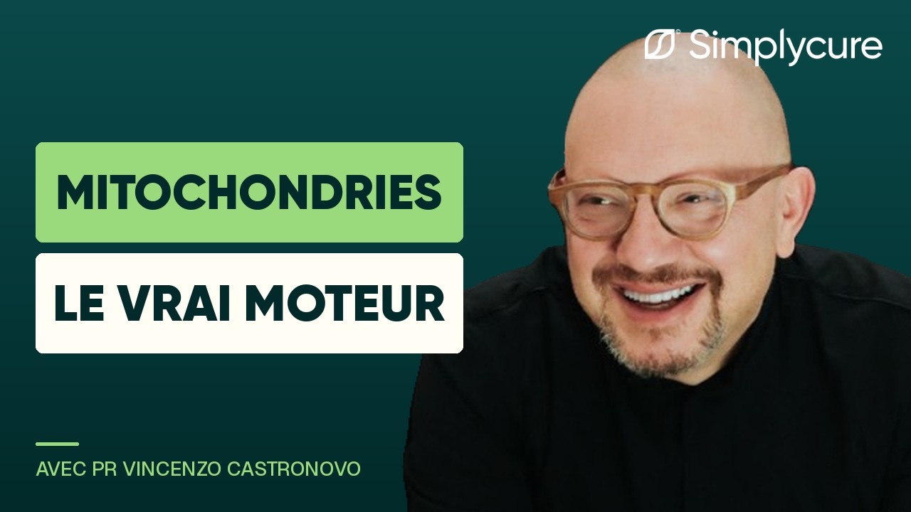 Les mitochondries, pilotes incontestables de notre longévité en bonne santé