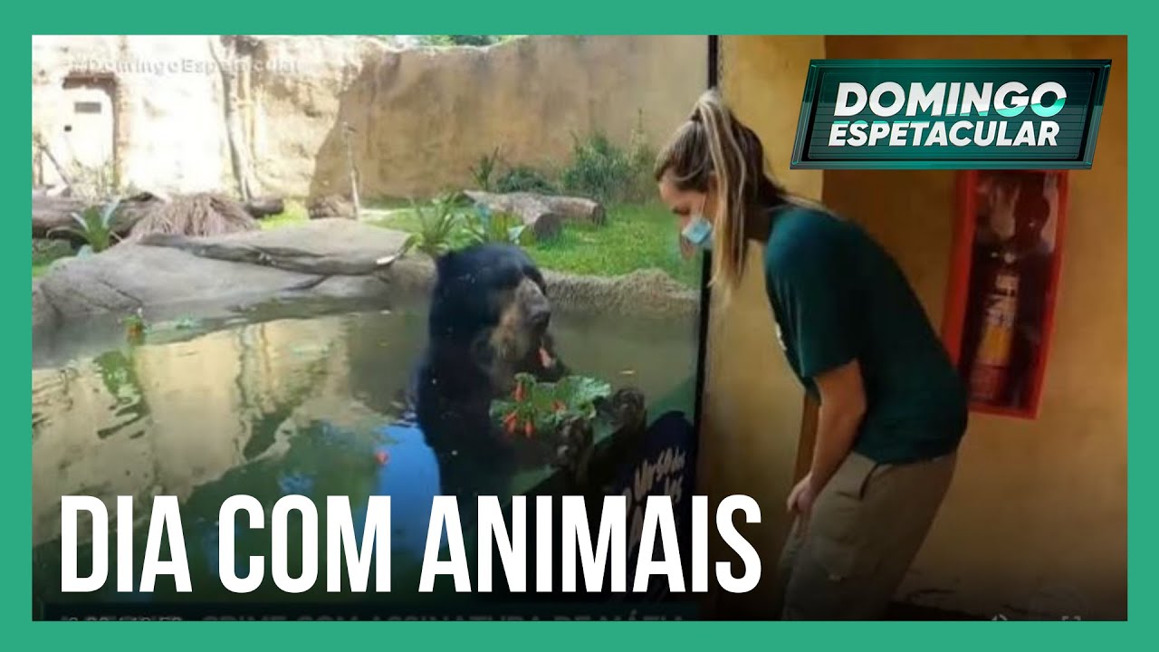 Mariana Weickert vive um dia de tratadora de animais em zoológico