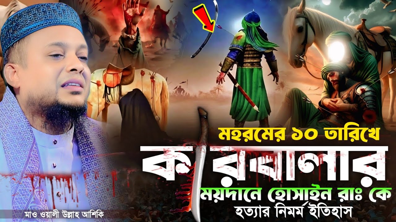 কারবালার ময়দানে হোসাইন রাঃ কে হত্যার নিমর্ম ইতিহাস || হাফেজ মাওলানা ওয়ালী উল্লাহ আশেকী