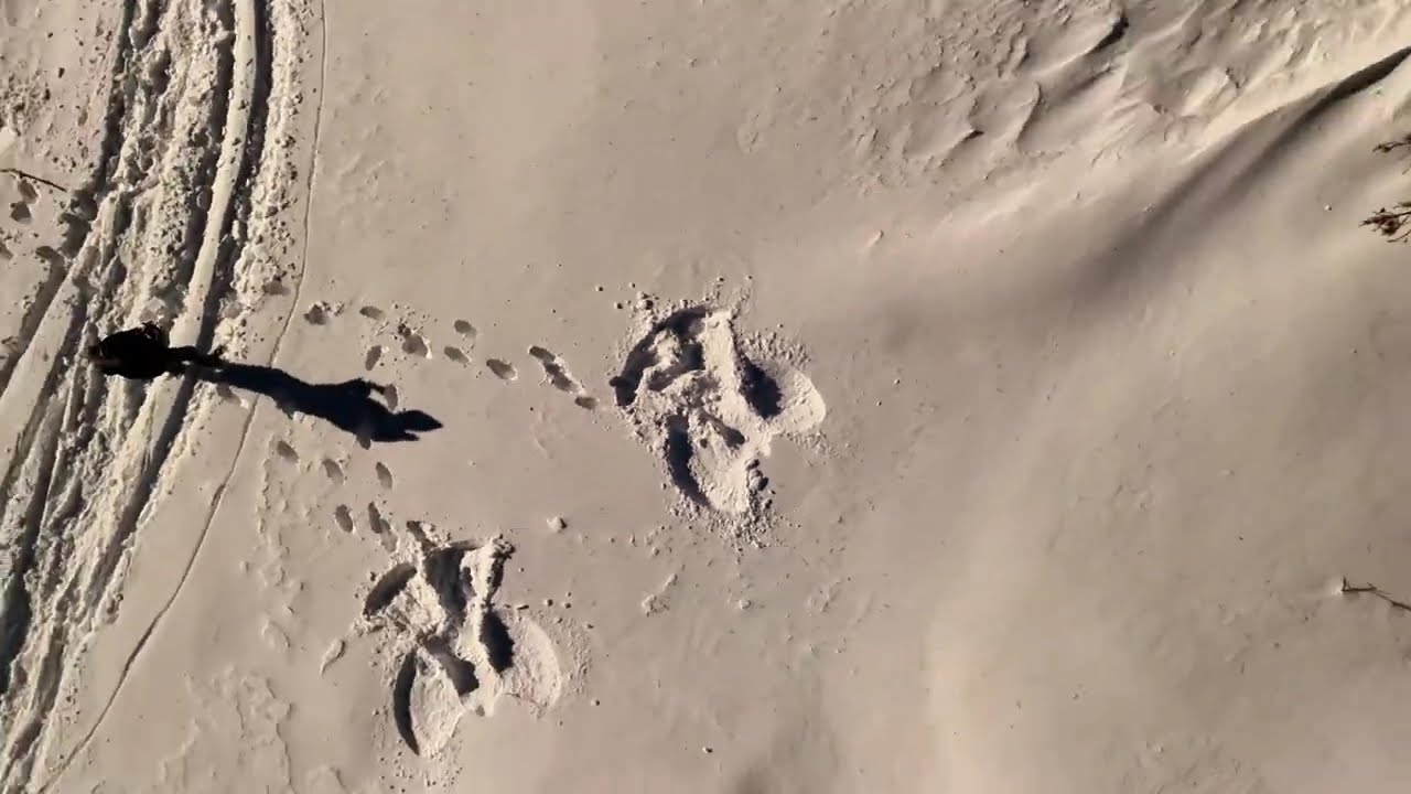 DJI DRONES