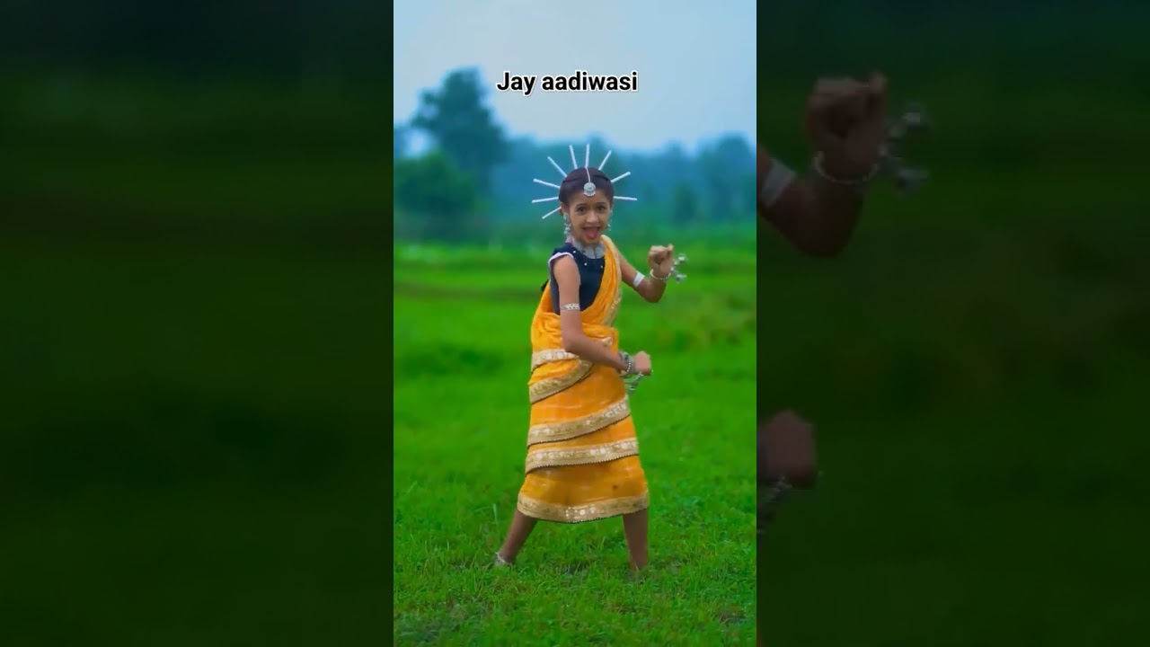 Aadiwasi jungle rakhwala re .. #aadiwasi