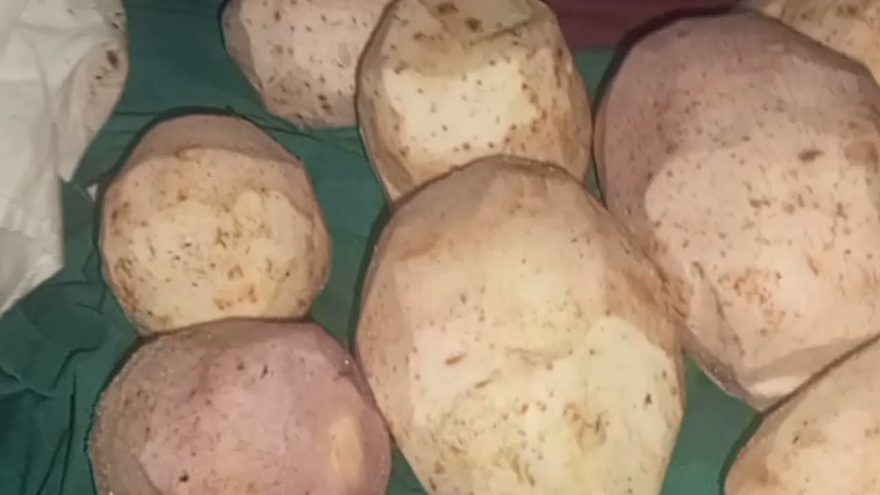 طريقة تخزين القلقاس 💪👈 من السنه لسنه بدون ما يسود ويغير لون