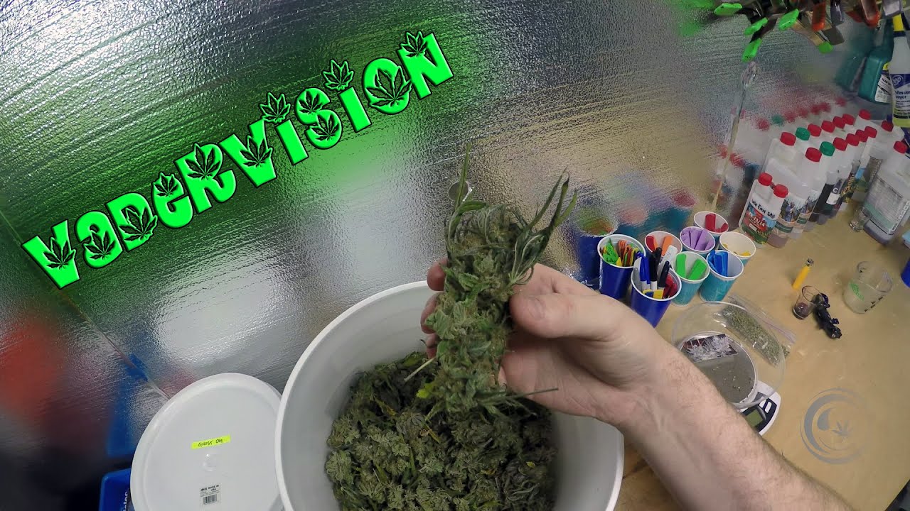 Freedom of Trim Jail!