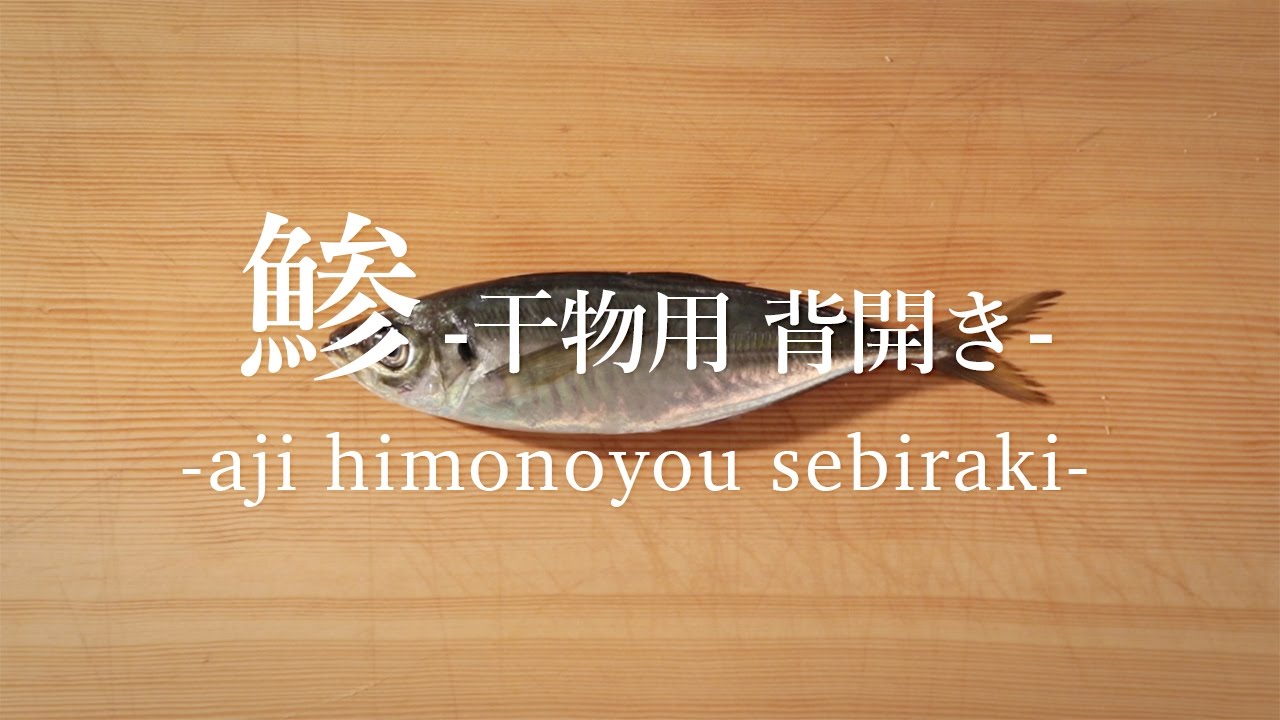 鯵（あじ）のさばき方：干物用 背開き - How to filet Horse Mackerel ver.Sebiraki-｜日本さばけるプロジェクト（海と日本プロジェクト）