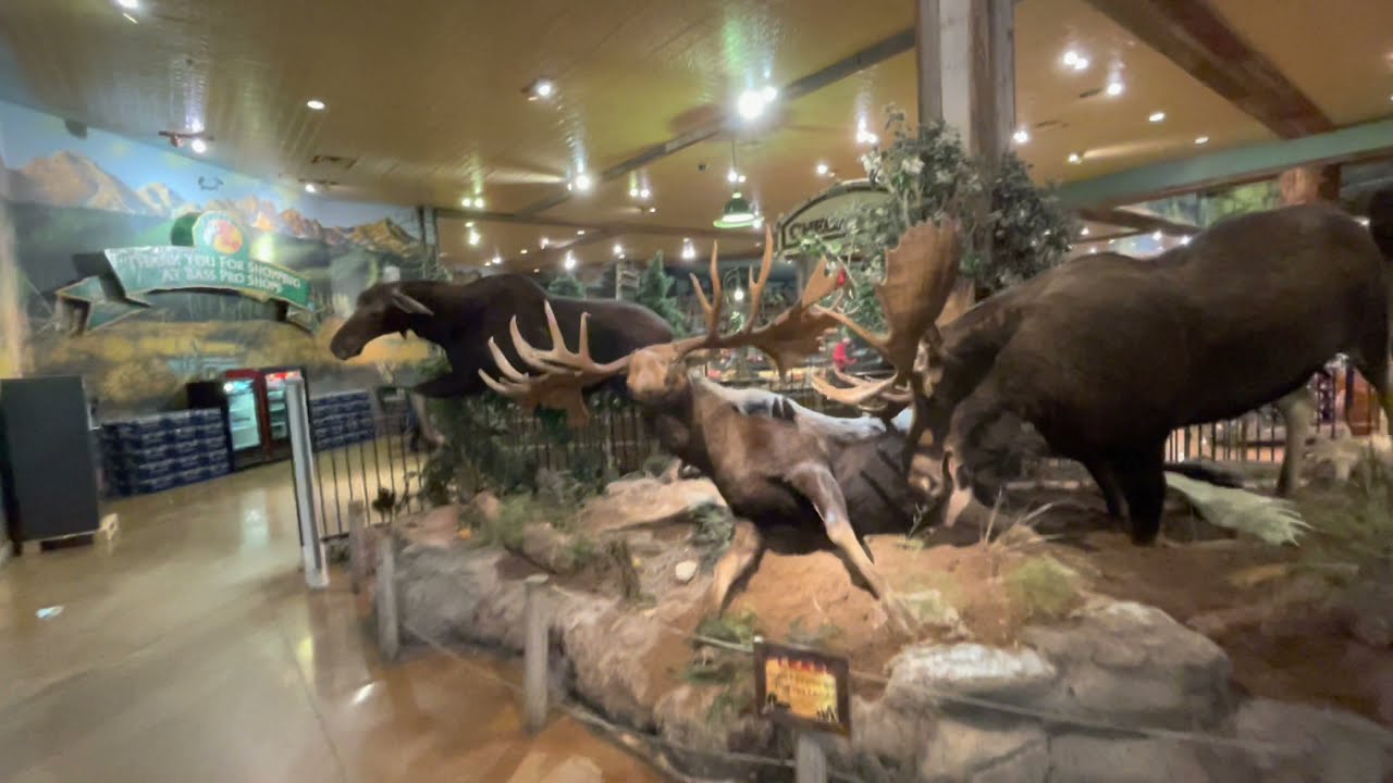 Crossiron Mills Mall