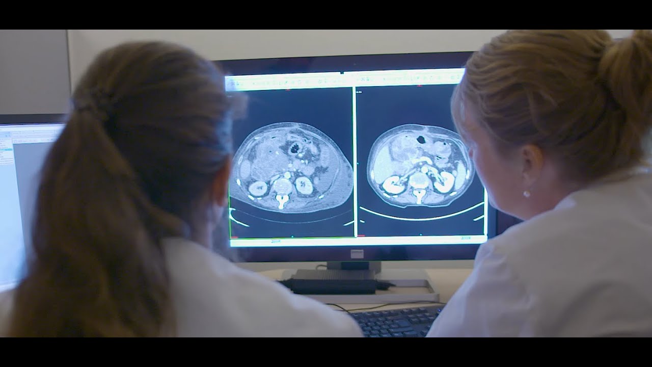 Image guided therapy at the Netherlands Cancer Institute