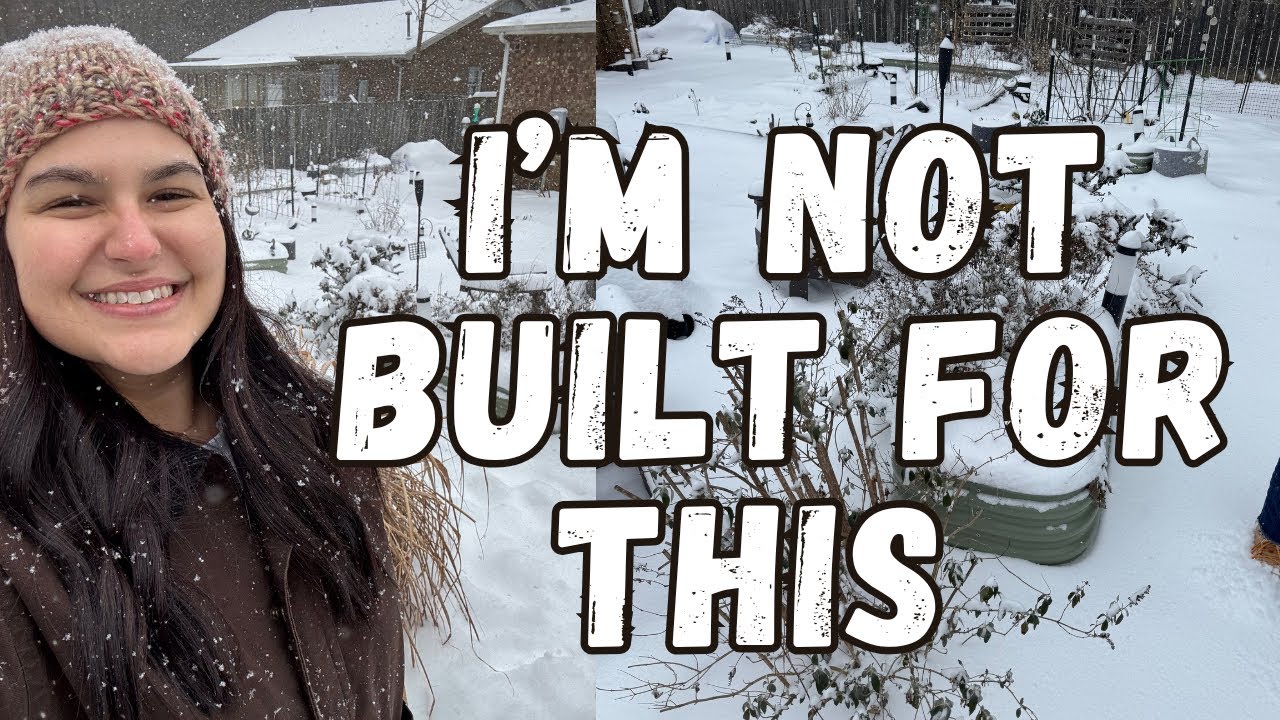 Winter Storm Prep on the Mini Homestead VLOG