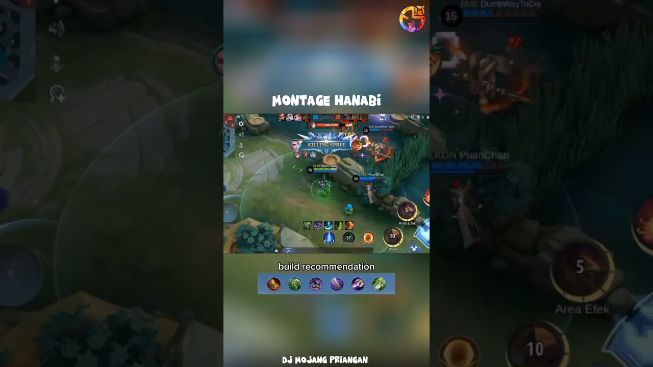 Montage Hanabi
