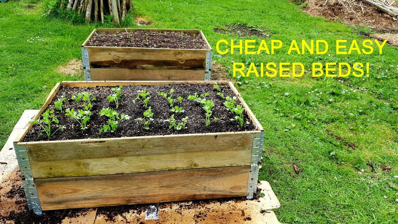 Cheap and Easy Raised Beds using Pallet Collars - No Dig!