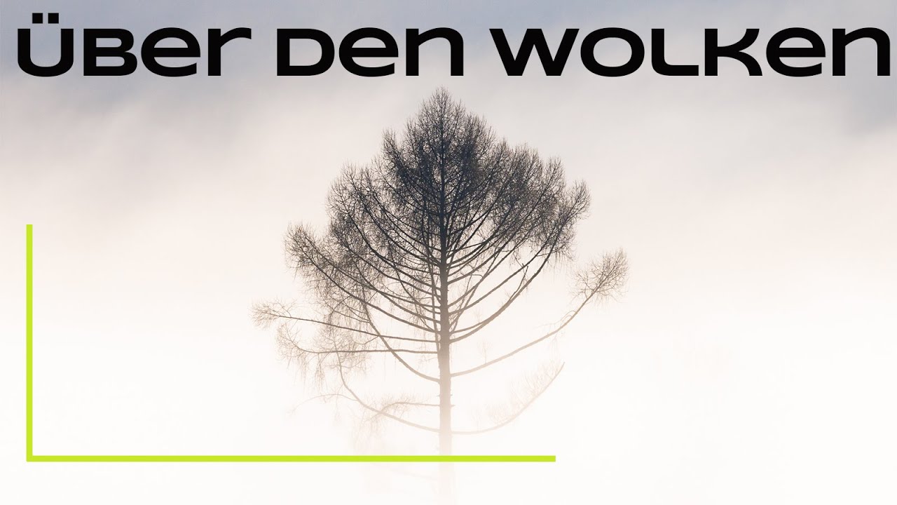 Über den Wolken - Fotos von einsamen Bäumen und tierische Geschichten