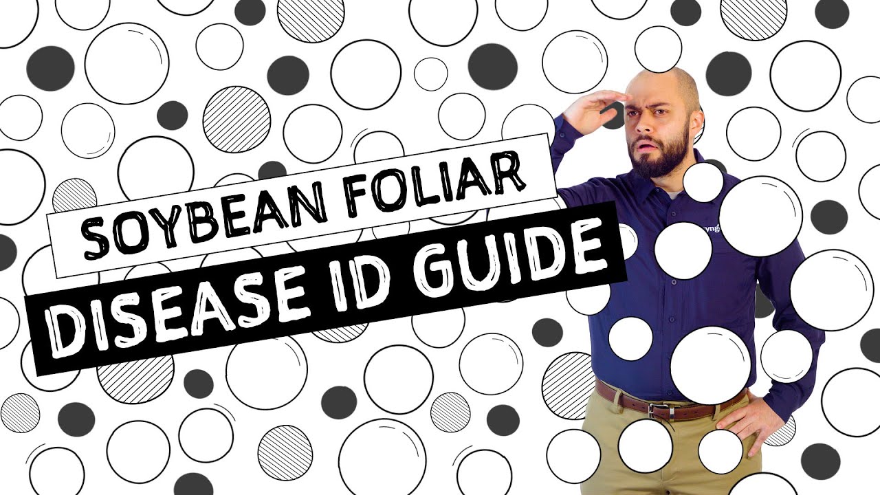 AG in :60 – Soybean Foliar Disease ID Guide