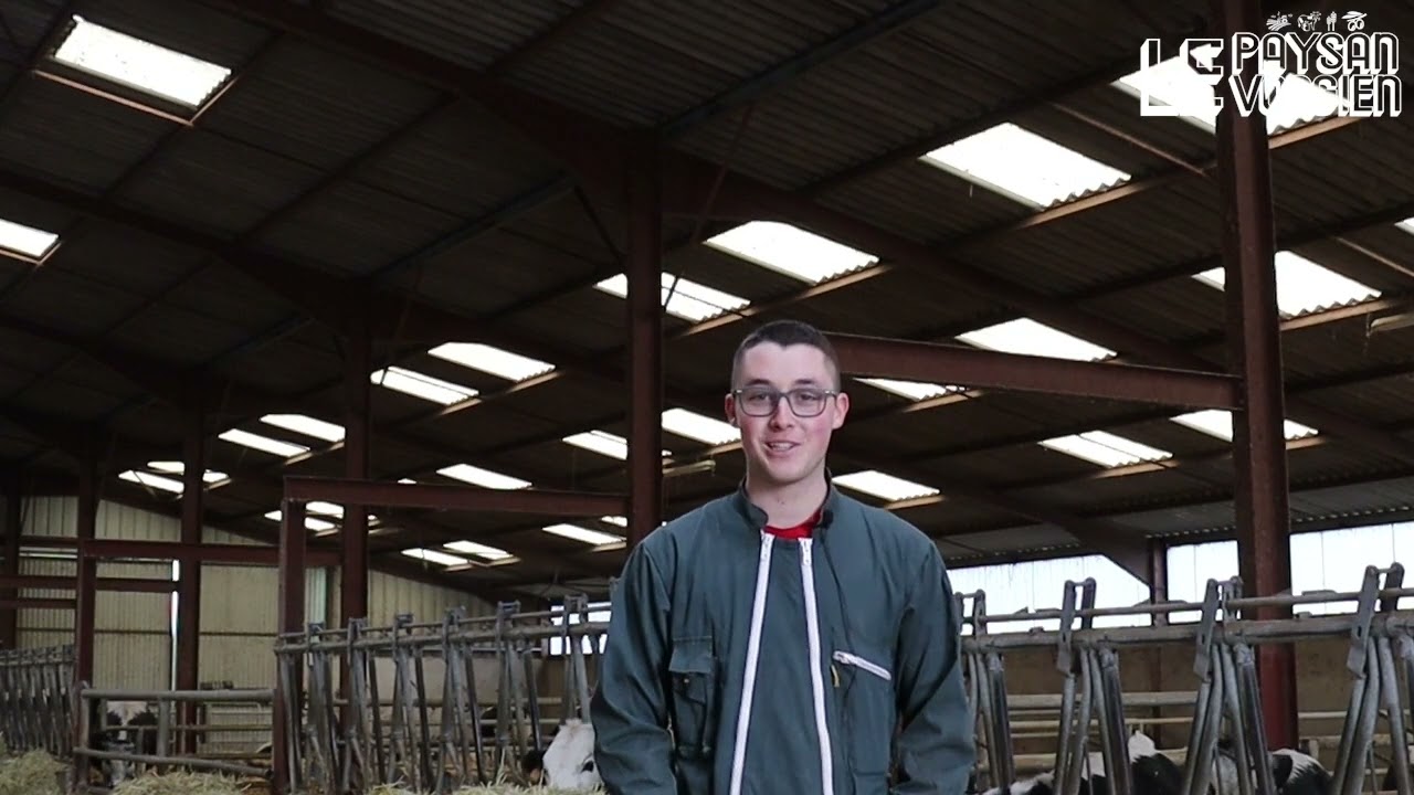 Installation Jeune Agriculteur : interview Rémi Mayaux